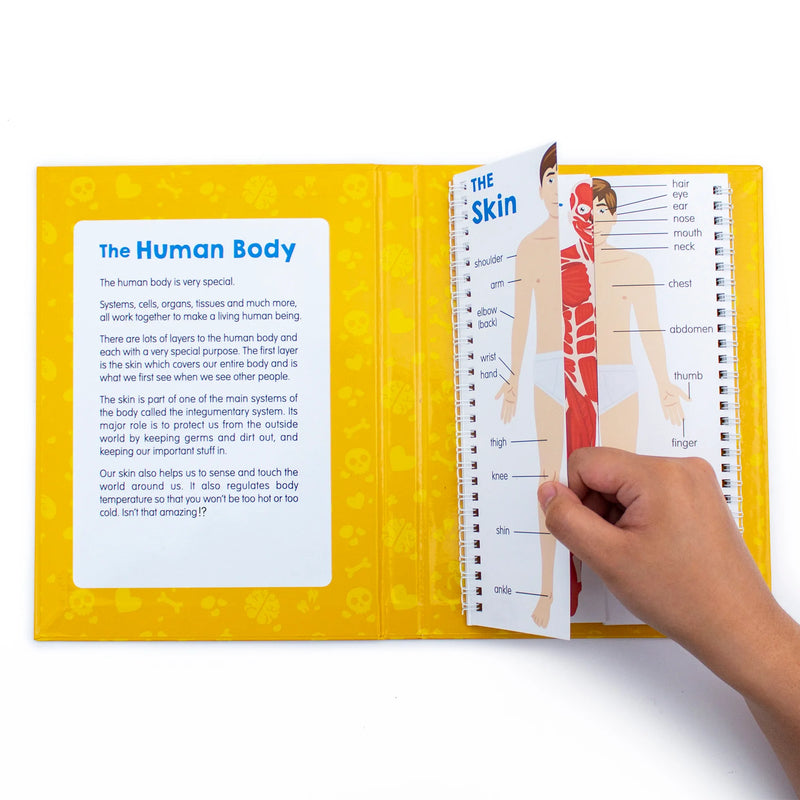 Anatomy Flips Human Body Book By Junior Learning STEM Science STEM Book 6yrs+