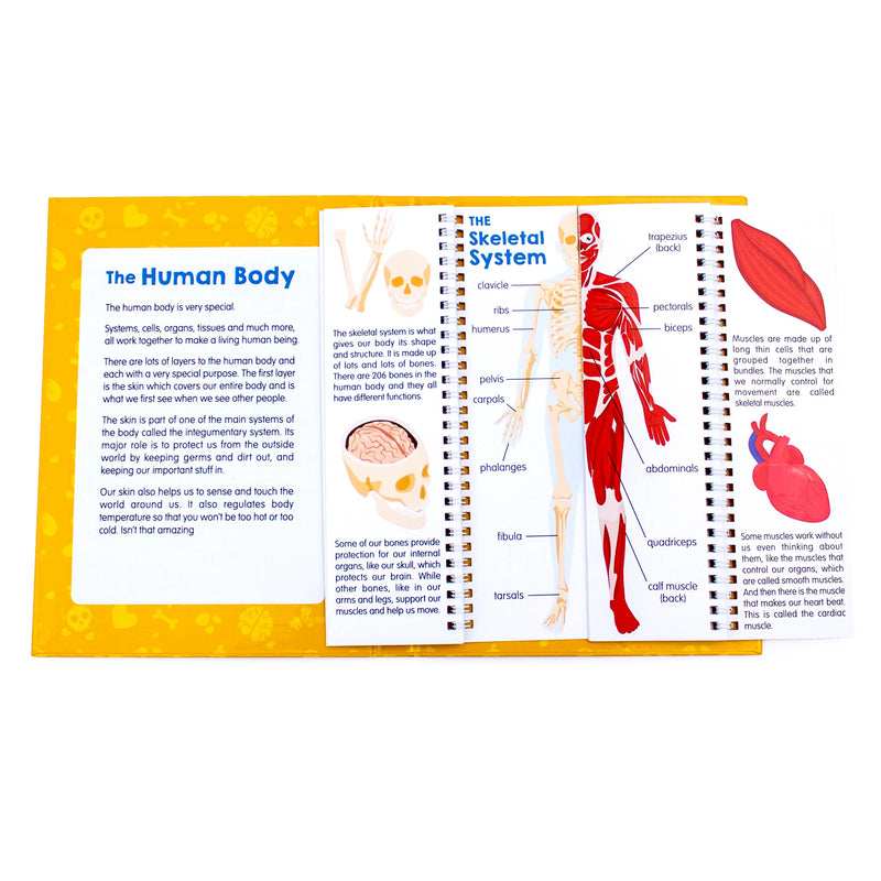 Anatomy Flips Human Body Book By Junior Learning STEM Science STEM Book 6yrs+