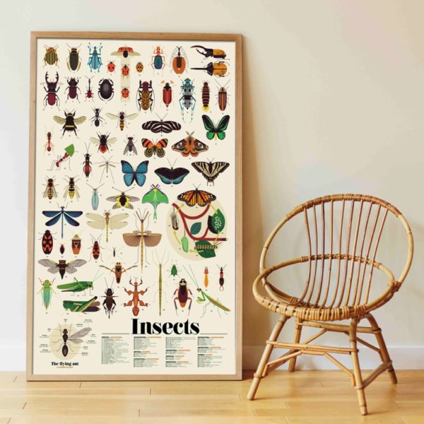 Insect Educational Poster and Stickers by Poppik Art and craft for kids Early Science 6yrs+