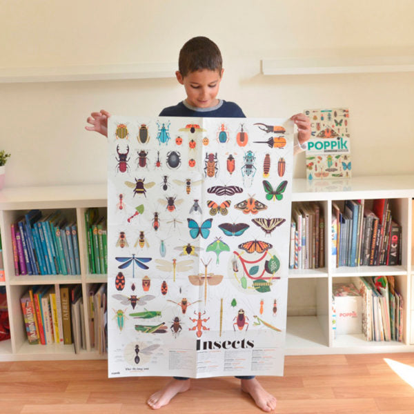 Insect Educational Poster and Stickers by Poppik 6yrs+