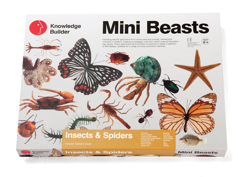 Mini Beasts Insects and Spiders Specimens Large Set 15pc Best Seller By Knowledge Builder Science Range Early Science STEM Toys 6yrs+