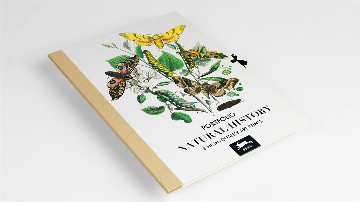 Pepin Art Portfolios - Natural History 8 Art Prints 300x420mm