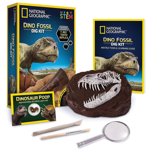 National Geographic Dinosaur Fossil Dig Kit 8yrs+ - My Playroom 