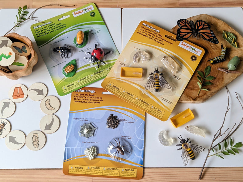 Wooden Life Cycle of a Butterfly Bee Frog Turtle Chicken set by My Little Set Early Science STEM Toys 3yrs+
