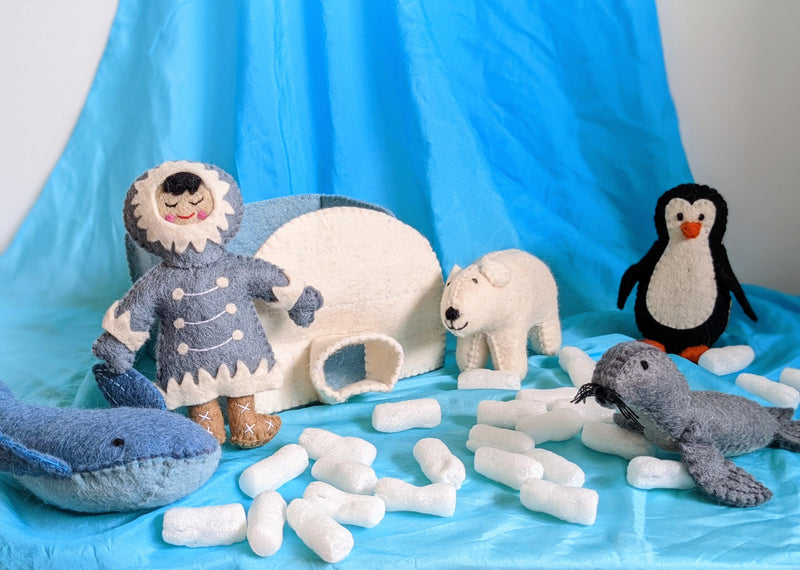 Pashom Arctic Playset 6pcs - My Playroom 