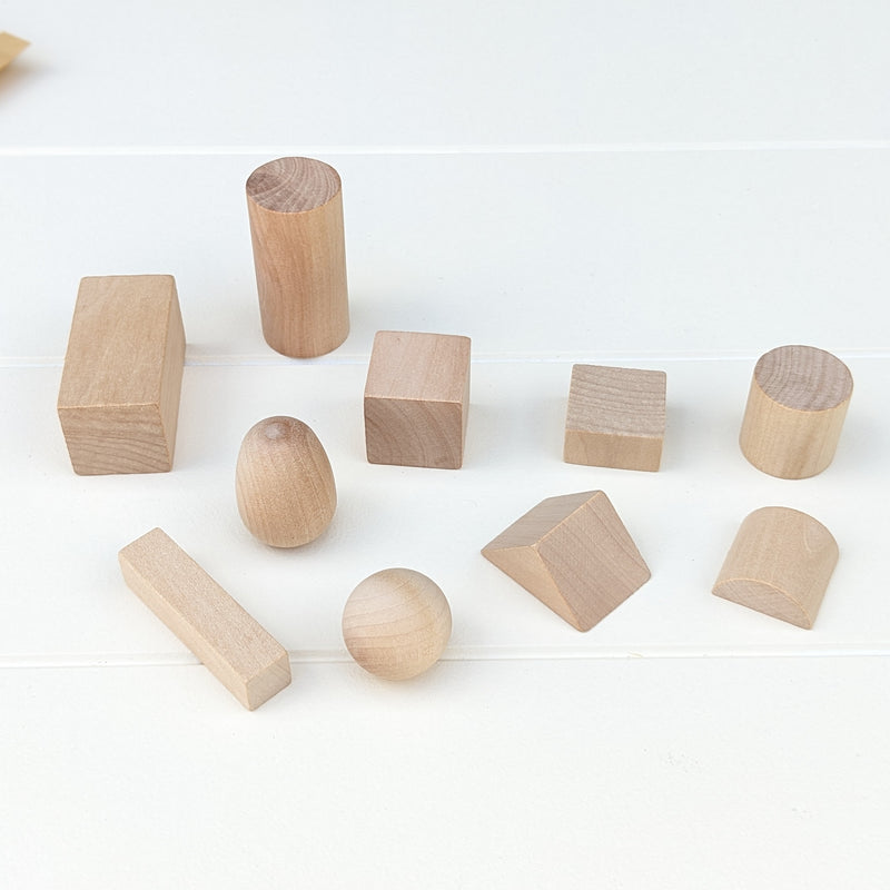 Montessori Sensorial Geometric Shapes Activity Set 10pc Early Math