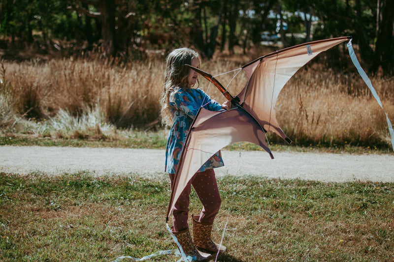 Jurassic Dino Kite Extra Large Pterodactyl 76 x 140cm By Brookite Dinosaur toy Outdoor Play Best Seller Dinosaur and Dragon Theme 3yrs+ (Bulky Shipping)