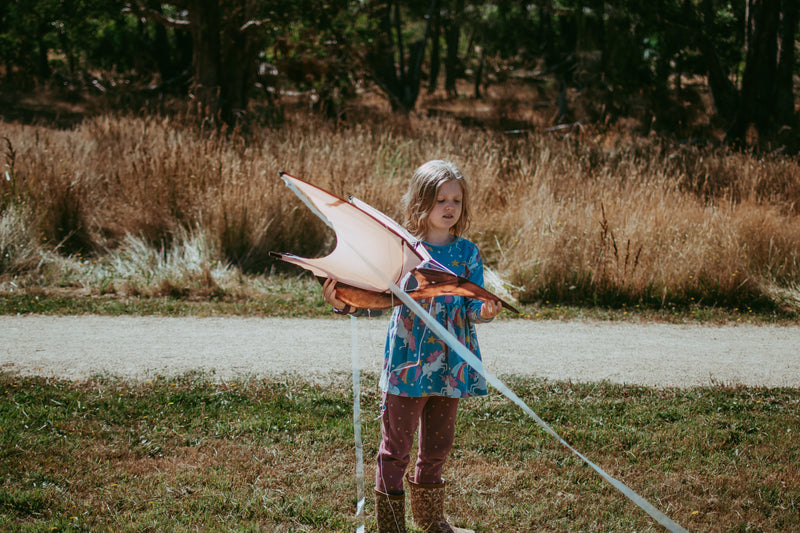 Jurassic Dino Kite Extra Large Pterodactyl 76 x 140cm By Brookite Dinosaur toy Outdoor Play Best Seller Dinosaur and Dragon Theme 3yrs+ (Bulky Shipping)