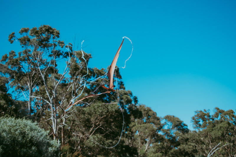 Jurassic Dino Kite Extra Large Pterodactyl 76 x 140cm By Brookite Dinosaur toy Outdoor Play Best Seller Dinosaur and Dragon Theme 3yrs+ (Bulky Shipping)