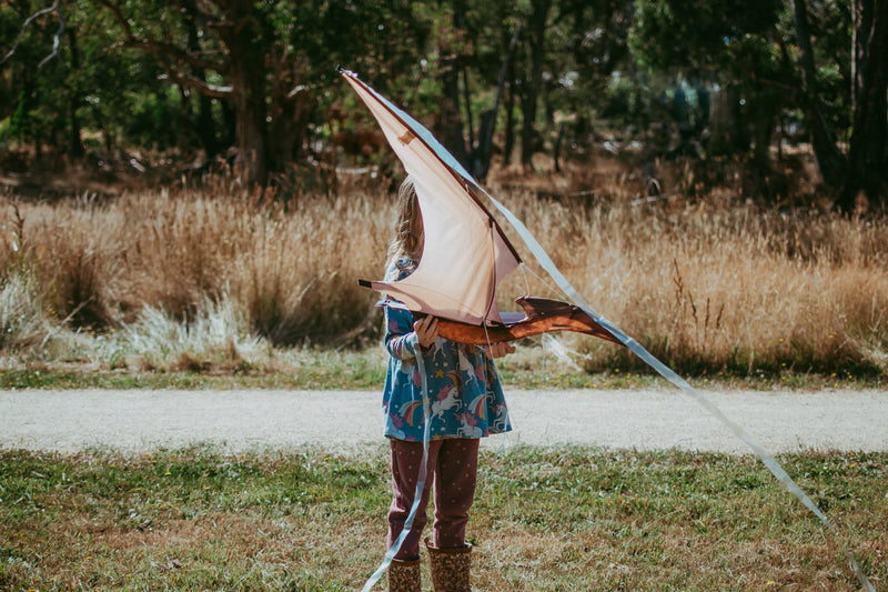 Jurassic Dino Kite Extra Large Pterodactyl 76 x 140cm By Brookite Dinosaur toy Outdoor Play Best Seller Dinosaur and Dragon Theme 3yrs+ (Bulky Shipping)