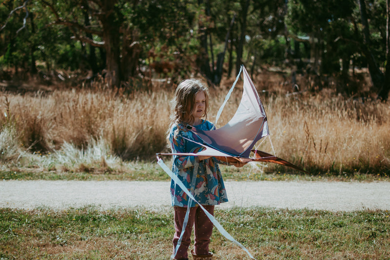 Jurassic Dino Kite Extra Large Pterodactyl 76 x 140cm By Brookite Dinosaur toy Outdoor Play Best Seller Dinosaur and Dragon Theme 3yrs+ (Bulky Shipping)