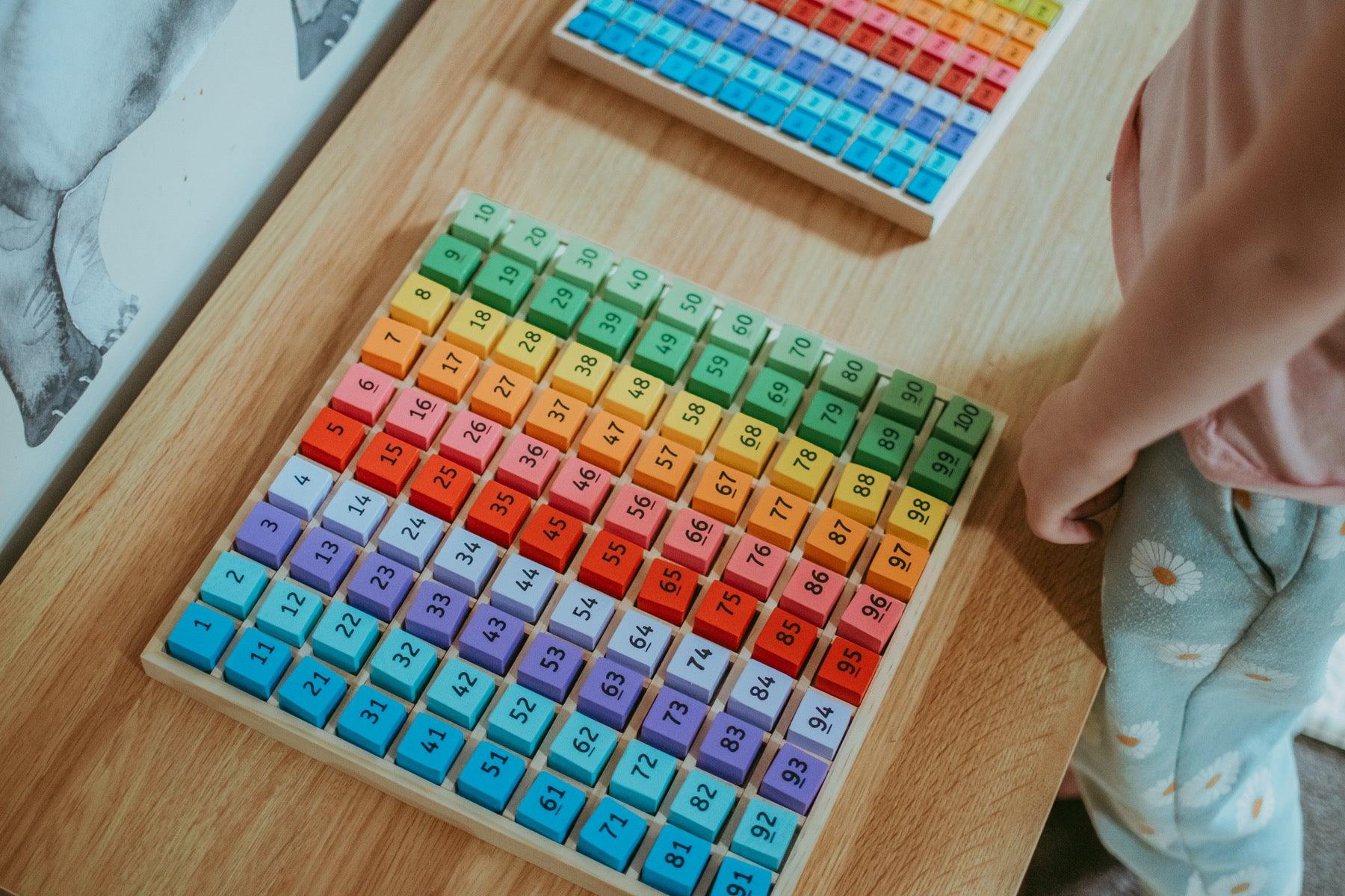 BigJigs Number Tray 1-100 Early Math STEM Cognitive Developmental