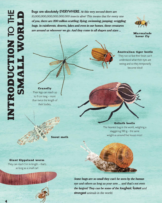 A Bug's World (Hardcover)