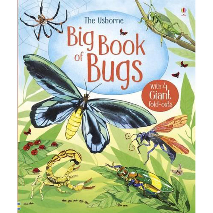 Big Book of Bugs (Hardcover)