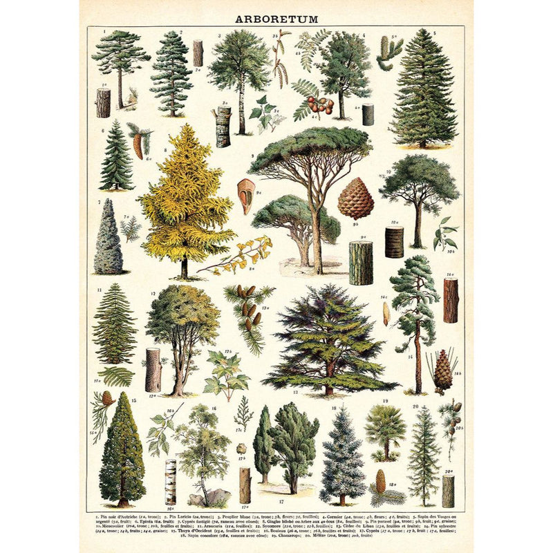 Playroom Poster - Arboretum by Cavallini