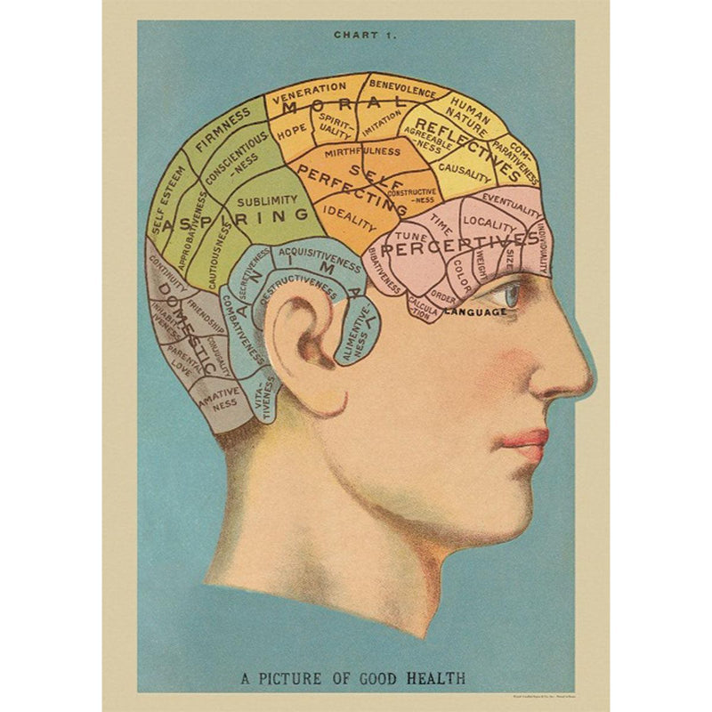 Playroom Poster --Phrenology Early Science STEM by Cavallini