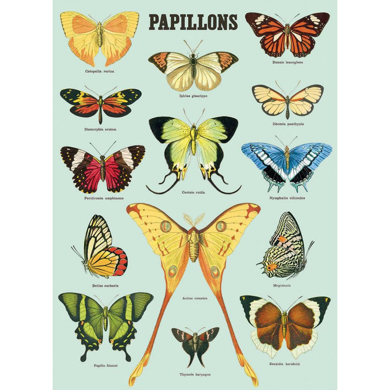 Playroom Poster - Papillons by Cavallini