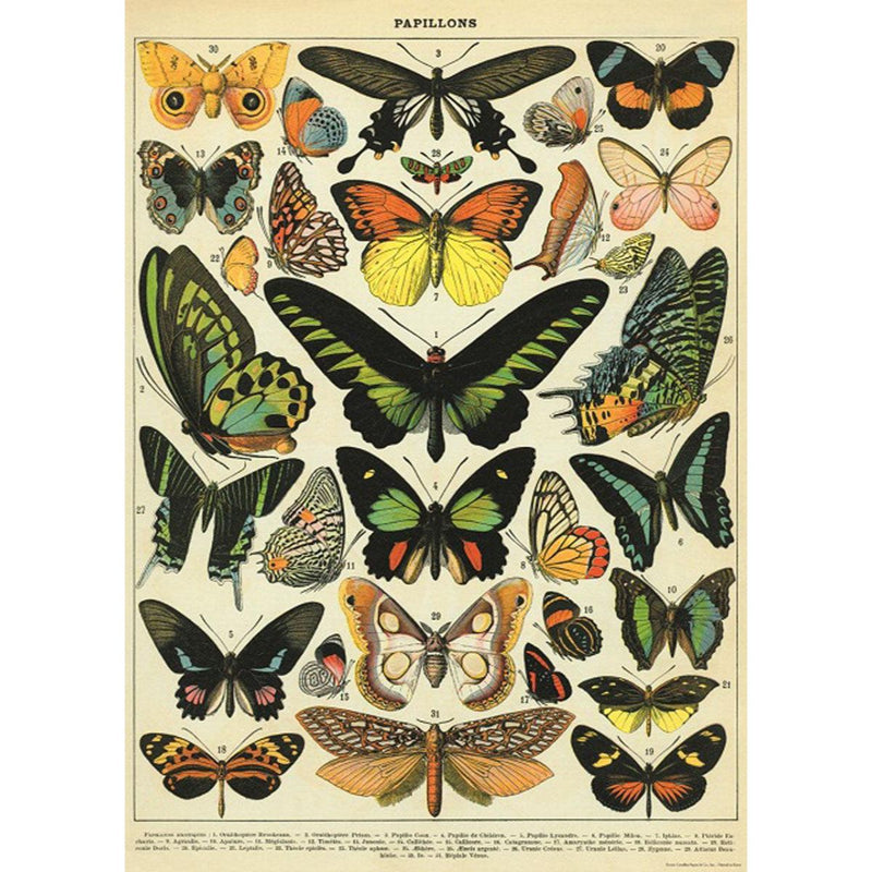 Playroom Poster - Butterflies by Cavallini