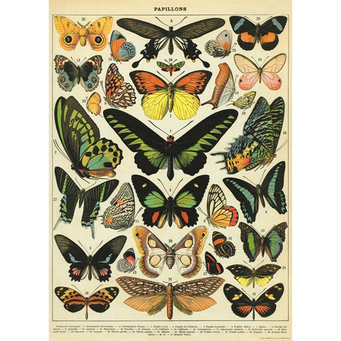 Playroom Poster - Butterflies