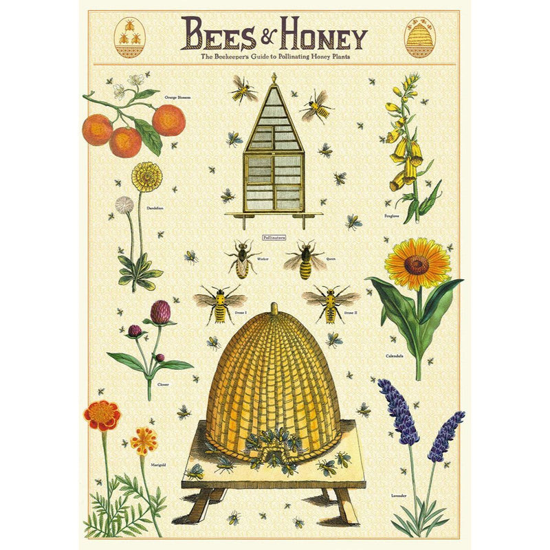 Playroom Poster – Bees & Honey by Cavallini