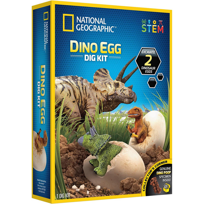 Best dinosaur dig kit sales