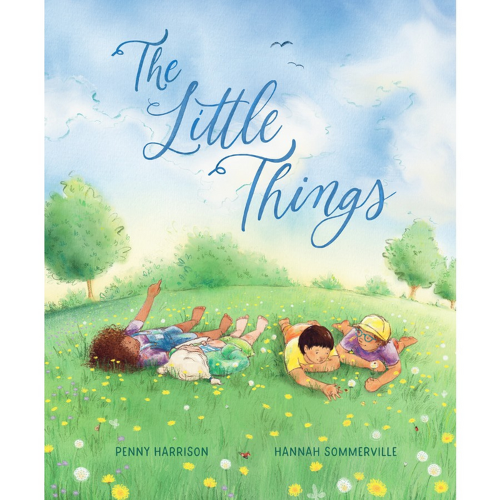 The Little Things (Hardcover)