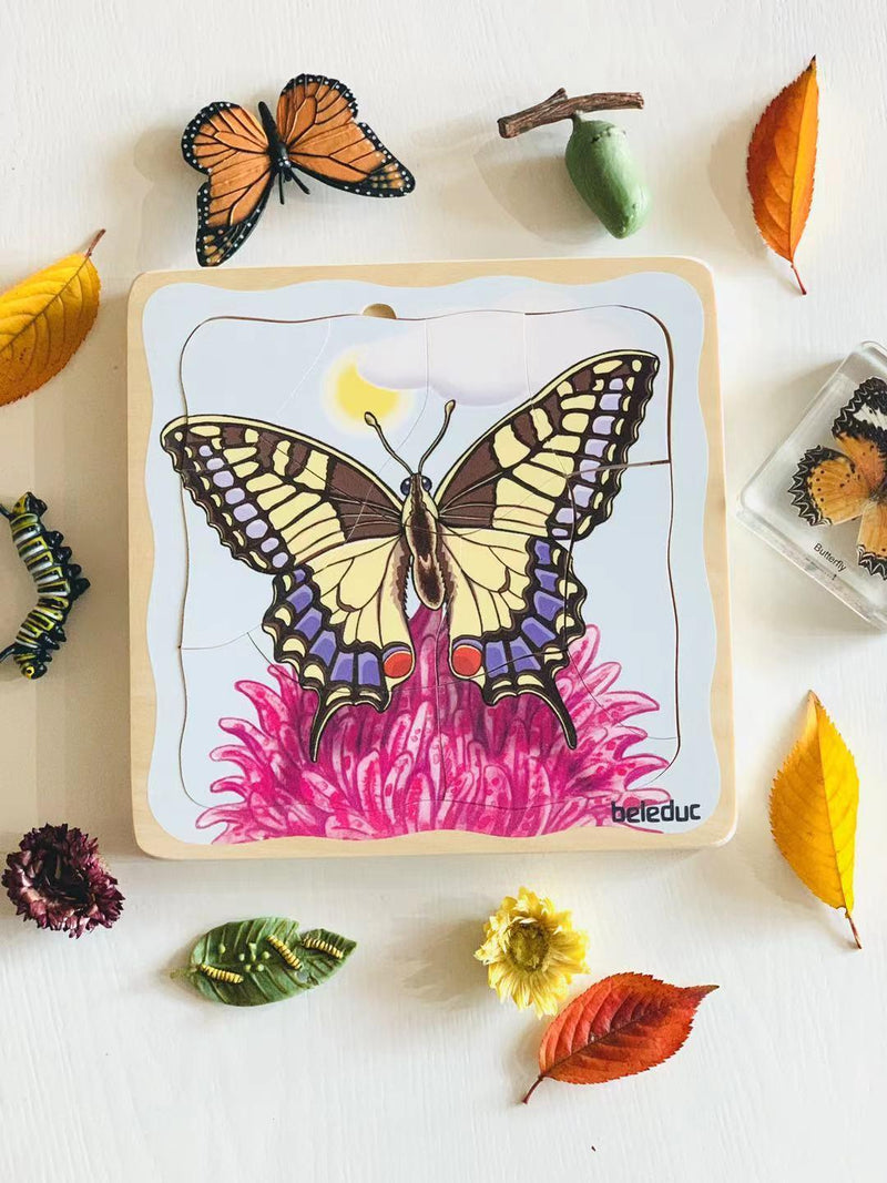Beleduc Life Cycle Wooden Numbered Puzzle - Butterfly 4yrs+ - My Playroom 