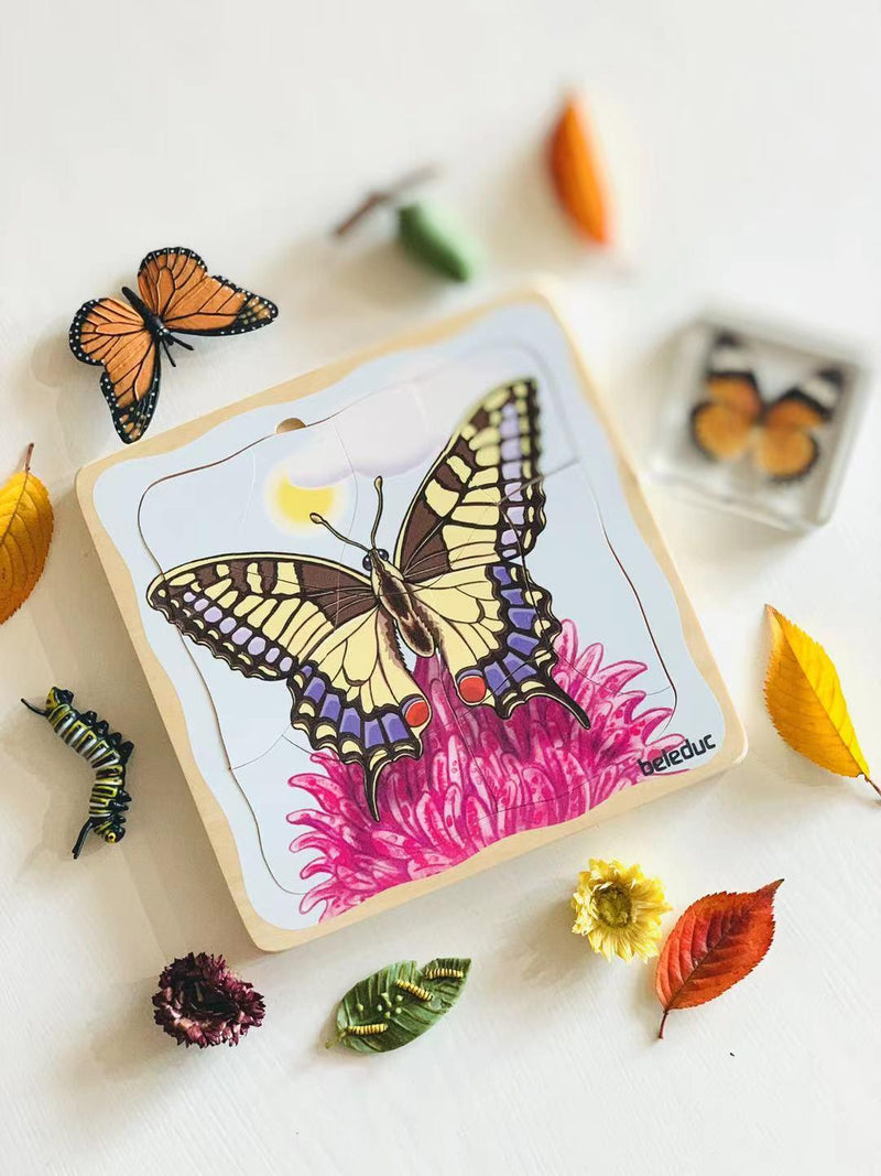 Beleduc Life Cycle Wooden Numbered Puzzle - Butterfly 4yrs+ - My Playroom 