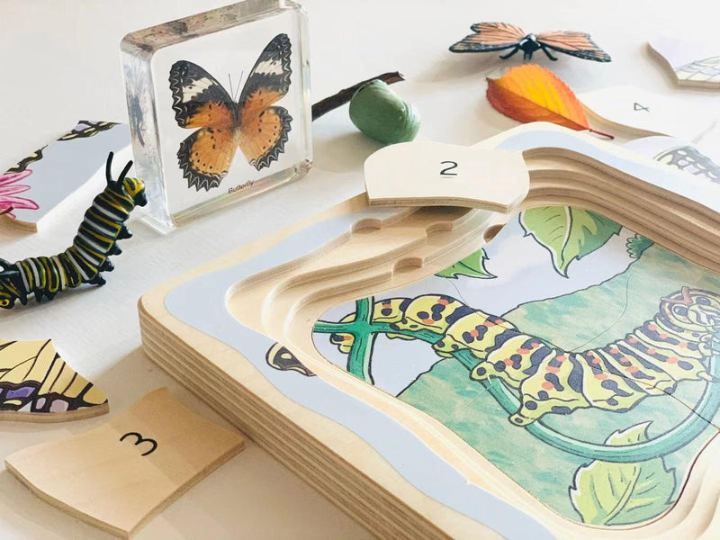 Beleduc Life Cycle Wooden Numbered Puzzle - Butterfly 4yrs+ - My Playroom 