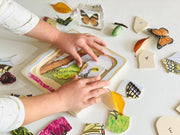 Beleduc Life Cycle Wooden Numbered Puzzle - Butterfly 4yrs+ - My Playroom 