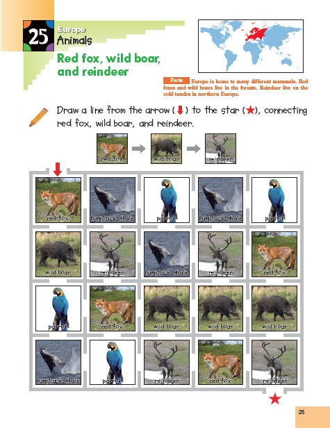 World Geography K & Up: Sticker Activity Book (Paperback) Kids Interactive Book by Kumon Publishing Stationary Art and craft for kids