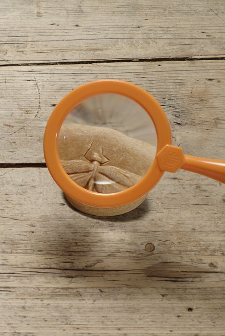 Yellow Door Let’s Investigate Bugs Set of 8 Sensory Stone Art and Craft for Kids Playdough Sand Toys Sensory Toys for Toddlers Gift Idea 2yrs+