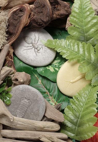 Yellow Door Let’s Investigate Bugs Set of 8 Sensory Stone Art and Craft for Kids Playdough Sand Toys Sensory Toys for Toddlers Gift Idea 2yrs+