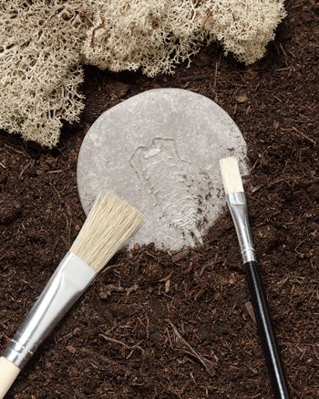 Yellow Door Let’s Investigate Bugs Set of 8 Sensory Stone Art and Craft for Kids Playdough Sand Toys Sensory Toys for Toddlers Gift Idea 2yrs+