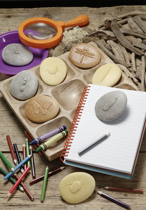 Yellow Door Let’s Investigate Bugs Set of 8 Sensory Stone Art and Craft for Kids Playdough Sand Toys Sensory Toys for Toddlers Gift Idea 2yrs+