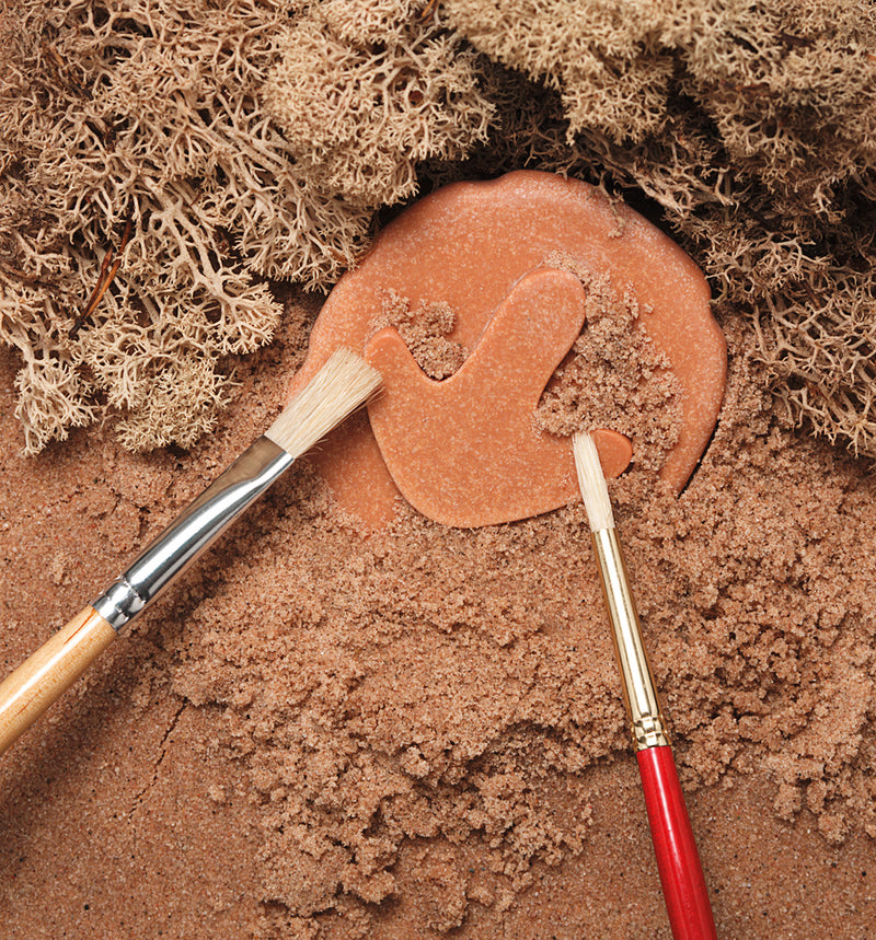 Yellow Door Let’s Investigate Dinosaur Footprints Set of 8 Sensory Stone Art and Craft for Kids Playdough Sand Toys Dinosaur Toy Sensory Toys Toddlers Dinosaur and Dragon Theme 3yrs+