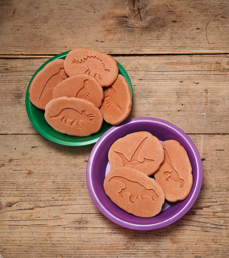 Yellow Door Let’s Investigate Dinosaur Footprints Set of 8 Sensory Stone Art and Craft for Kids Playdough Sand Toys Dinosaur Toy Sensory Toys Toddlers Dinosaur and Dragon Theme 3yrs+