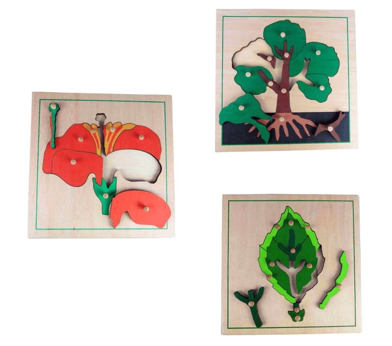 Plant Wooden Puzzles - Set of 3 - My Playroom 