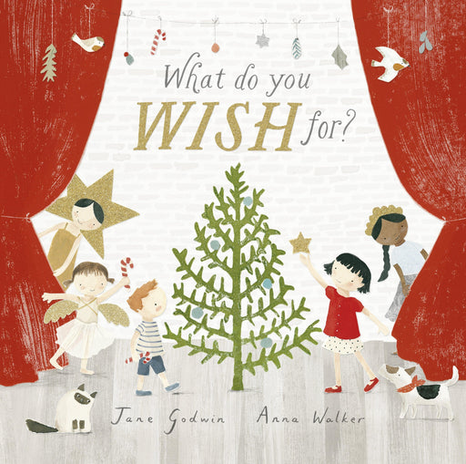 What Do You Wish For? (Paperback) - My Playroom 