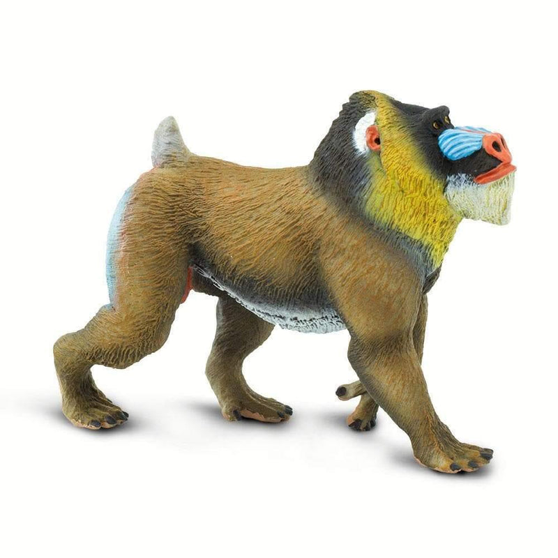 Mandrill Safari Figurine - My Playroom 