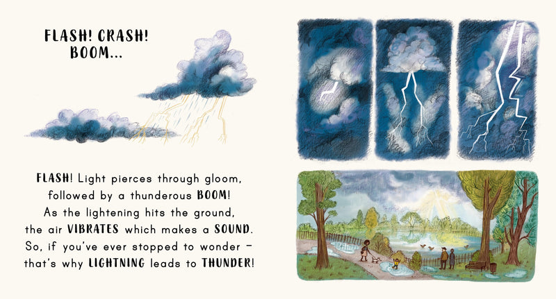 Slow Down... in the Park (Board Book) - My Playroom 