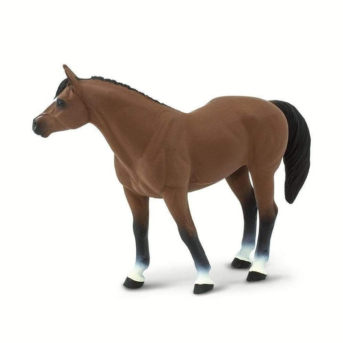 Gelding Quarter Horses Horses for sale in Australia | Horse Deals Gelding Quarter Horses Horses for sale in Australia | Horse Deals
