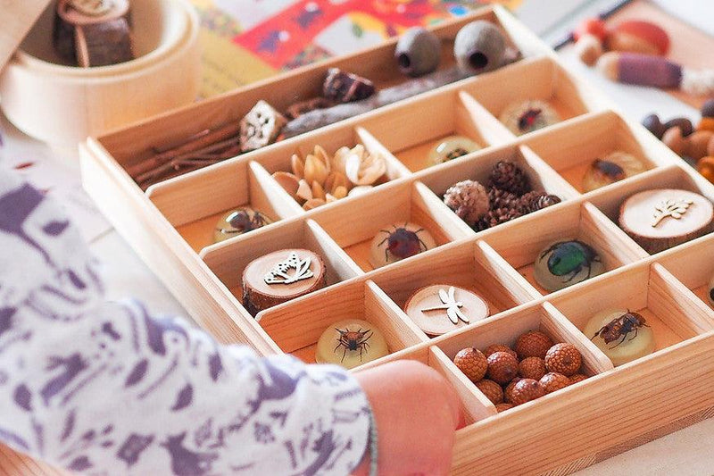 Mini Beast Magnetic Insect Specimens ( Glow in the Dark ) 6yrs+ - My Playroom 