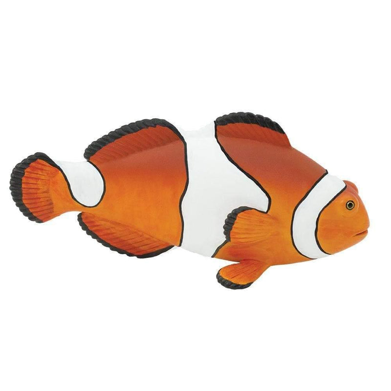 Clown Anemonefish Figurine Sea Life Collection - My Playroom 