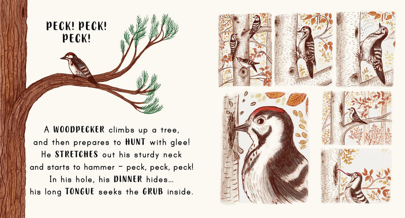 Slow Down... in the Park (Board Book) - My Playroom 