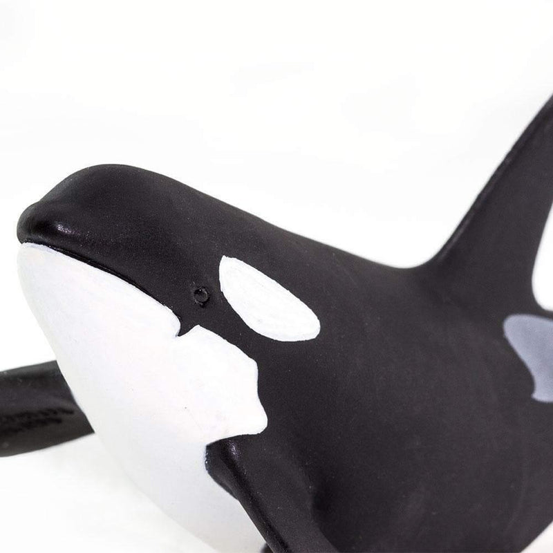 Orca Killer Whale Figurine Sea Life collection - My Playroom 