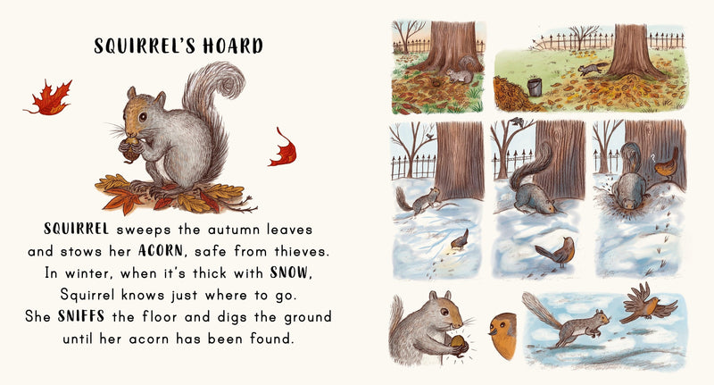 Slow Down... in the Park (Board Book) - My Playroom 