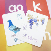 Like Chinese PinYin Flashcards 小象拼音aoe - My Playroom 