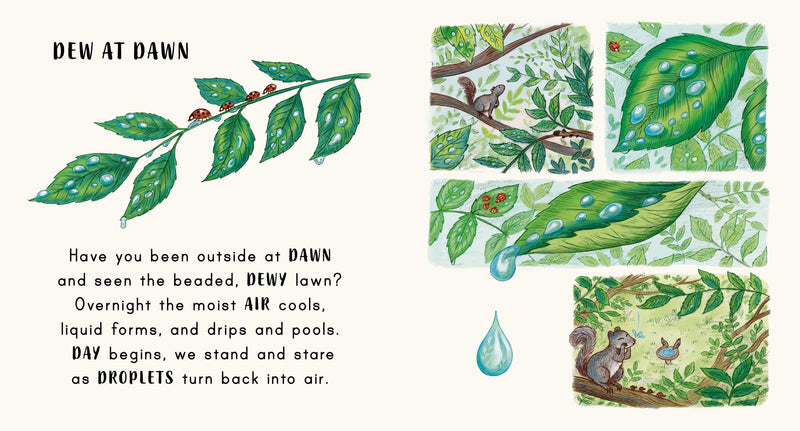 Slow Down... on Your Doorstep (Board Book) - My Playroom 