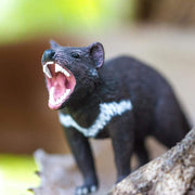 Tasmanian Devil Australian Figurine - My Playroom 